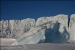 Antarctica: Delta Trip